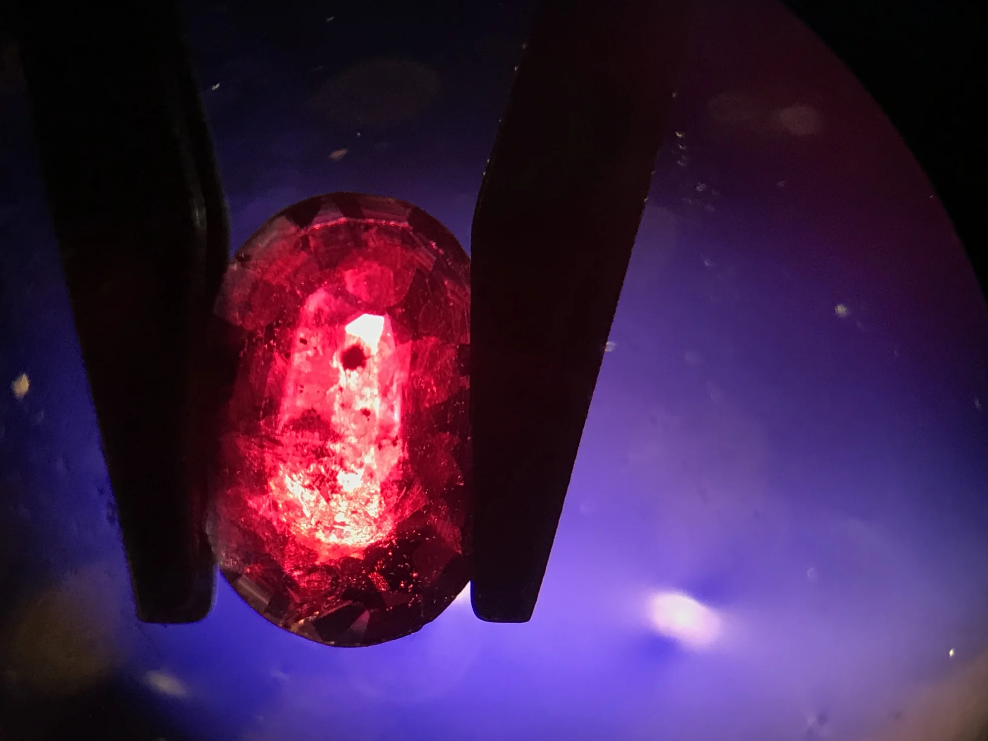 Eigene gemmologische Aufnahme eines roten Farbsteins